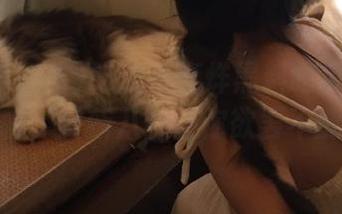吃瓜不打烊黑料吃瓜网独家揭秘，最新八卦让你欲罢不能哦