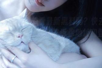 想看最新黑料吗？快去黑料668su黑料传送门，告诉你地址和登录步骤！