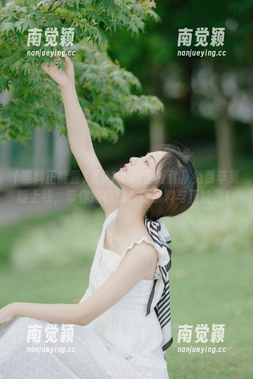 黑料正能量 《91黑料正能量》免费苹果版上线,带你揭秘娱乐圈黑料与正能量!