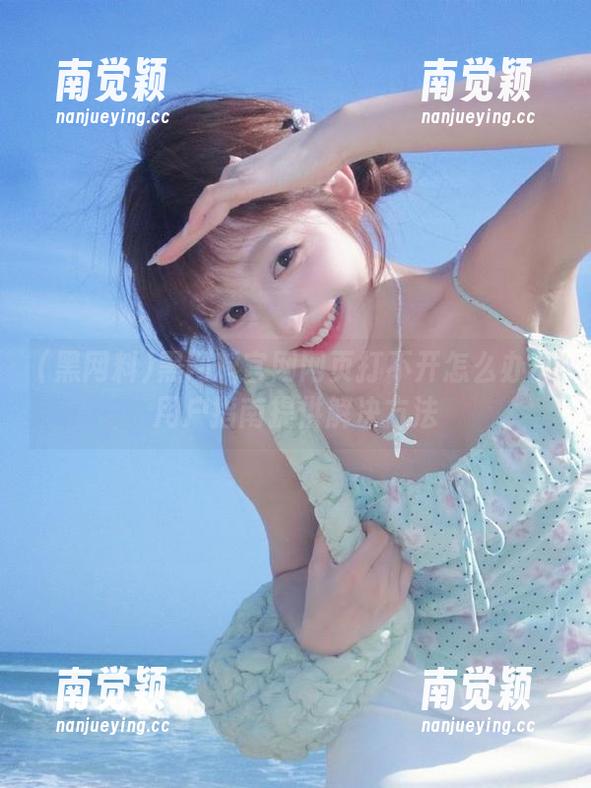 黑网料 黑网料官网网页打不开怎么办?用户指南提供解决方法